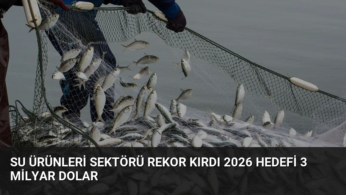 Su Ürünleri Sektörü Rekor Kırdı 2026 Hedefi 3 Milyar Dolar