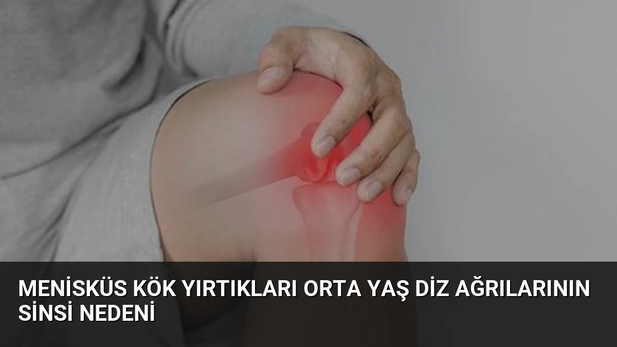 Menisküs Kök Yırtıkları Orta Yaş Diz Ağrılarının Sinsi Nedeni
