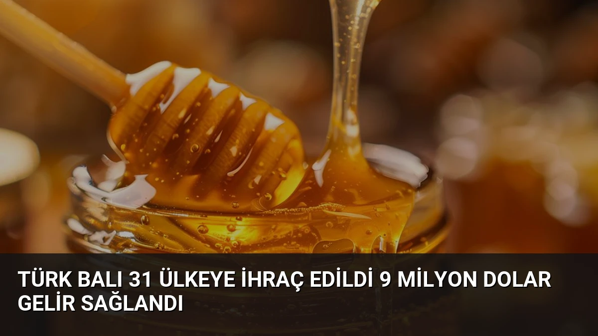 Türk Balı 31 Ülkeye İhraç Edildi 9 Milyon Dolar Gelir Sağlandı
