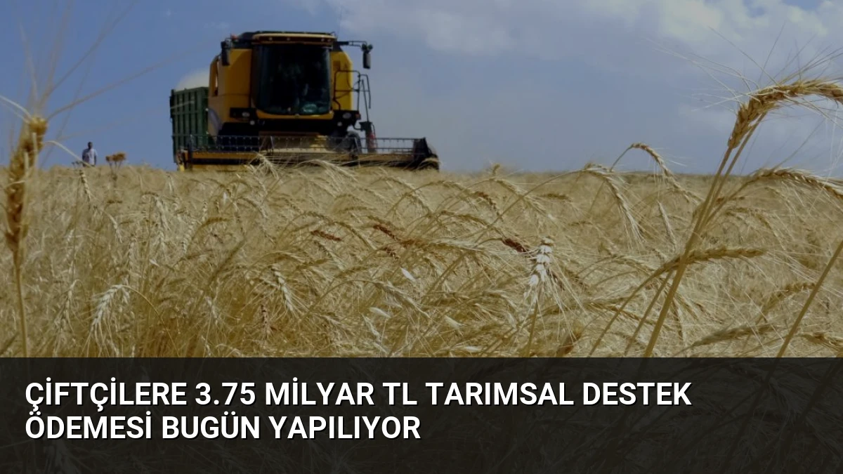 Çiftçilere 3.75 Milyar TL Tarımsal Destek Ödemesi Bugün Yapılıyor