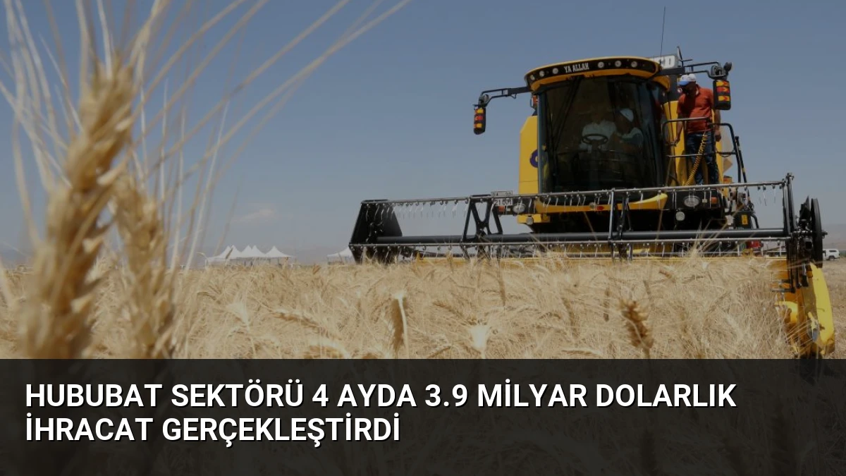 Hububat Sektörü 4 Ayda 3.9 Milyar Dolarlık İhracat Gerçekleştirdi