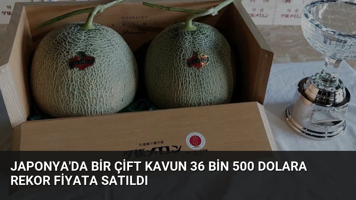 Japonya’da Bir Çift Kavun 36 Bin 500 Dolara Rekor Fiyata Satıldı