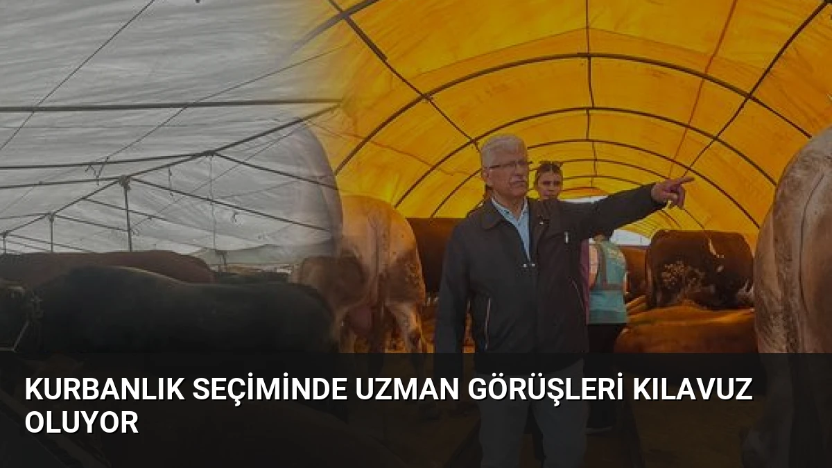 Kurbanlık Seçiminde Uzman Görüşleri Kılavuz Oluyor