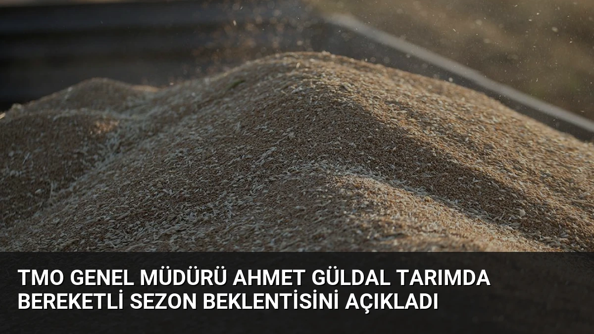 TMO Genel Müdürü Ahmet Güldal Tarımda Bereketli Sezon Beklentisini Açıkladı