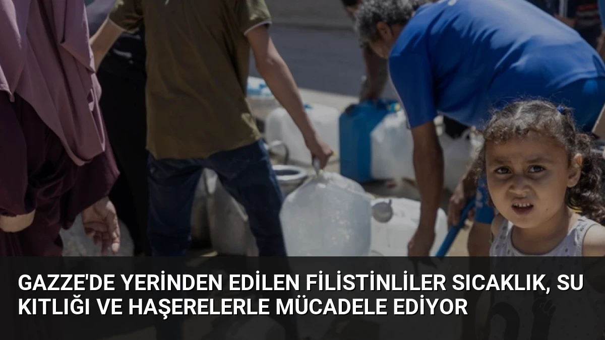 Gazze’de Yerinden Edilen Filistinliler Sıcaklık, Su Kıtlığı ve Haşerelerle Mücadele Ediyor