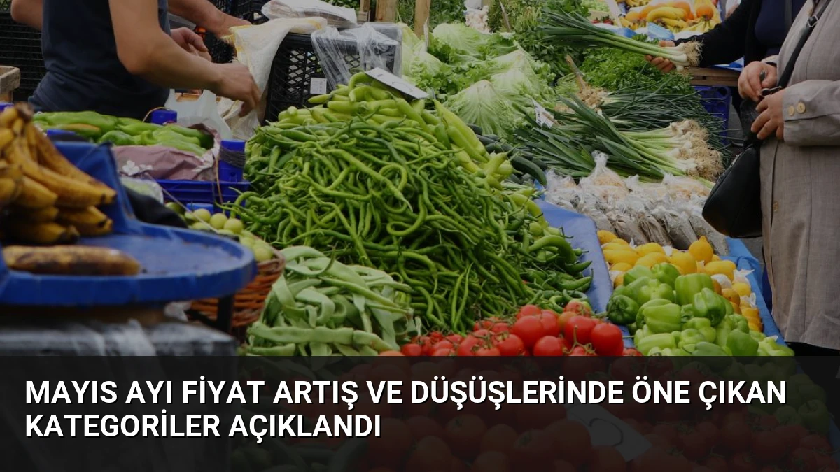 Mayıs Ayı Fiyat Artış ve Düşüşlerinde Öne Çıkan Kategoriler Açıklandı