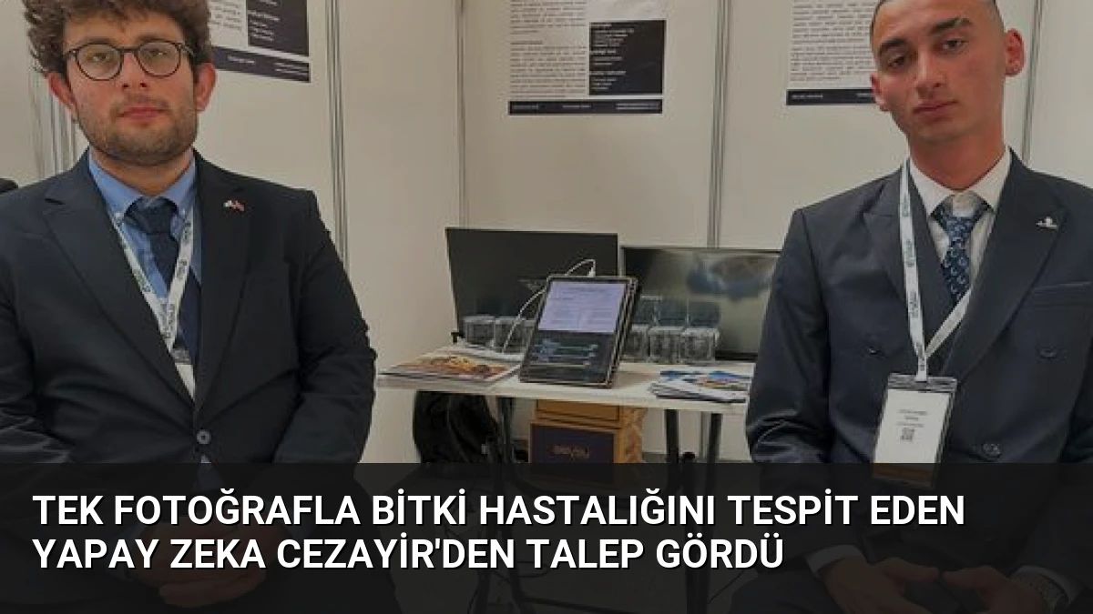 Tek Fotoğrafla Bitki Hastalığını Tespit Eden Yapay Zeka Cezayir’den Talep Gördü