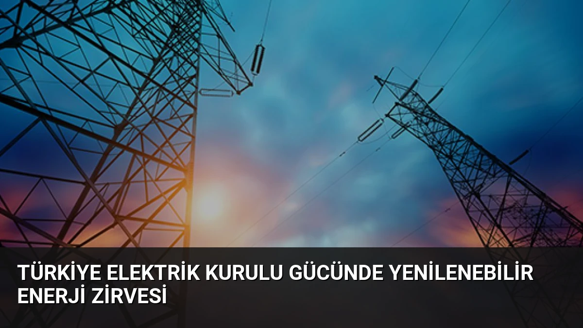Türkiye Elektrik Kurulu Gücünde Yenilenebilir Enerji Zirvesi
