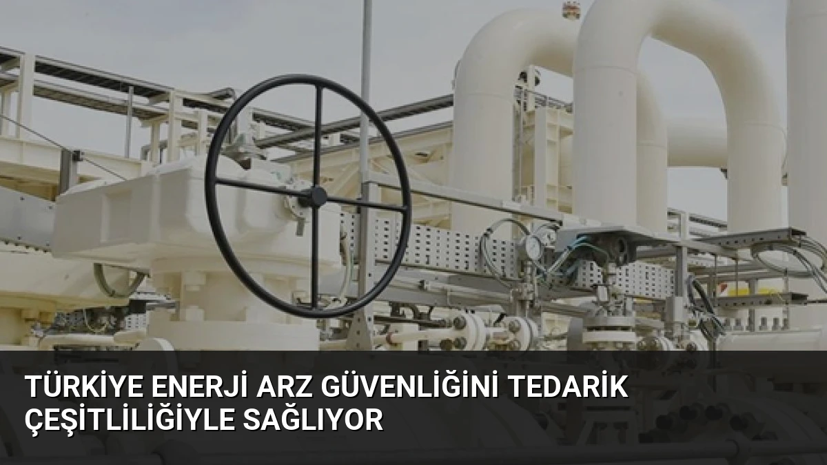 Türkiye Enerji Arz Güvenliğini Tedarik Çeşitliliğiyle Sağlıyor