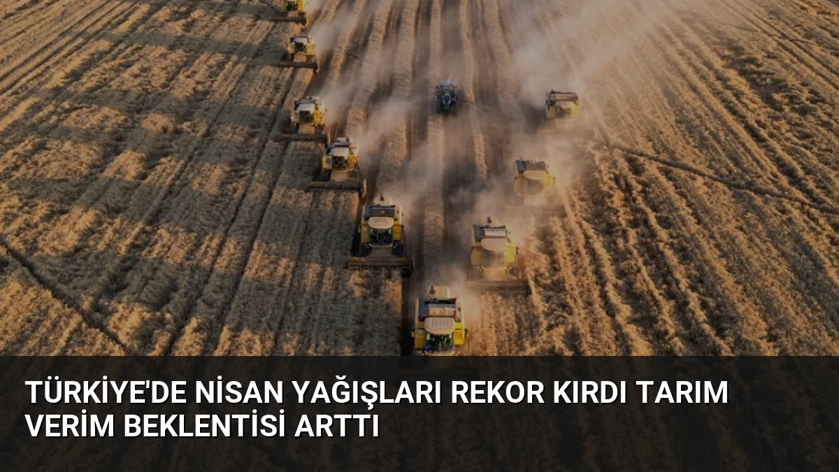 Türkiye’de Nisan Yağışları Rekor Kırdı Tarım Verim Beklentisi Arttı