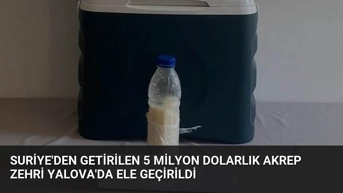 Suriye’den Getirilen 5 Milyon Dolarlık Akrep Zehri Yalova’da Ele Geçirildi
