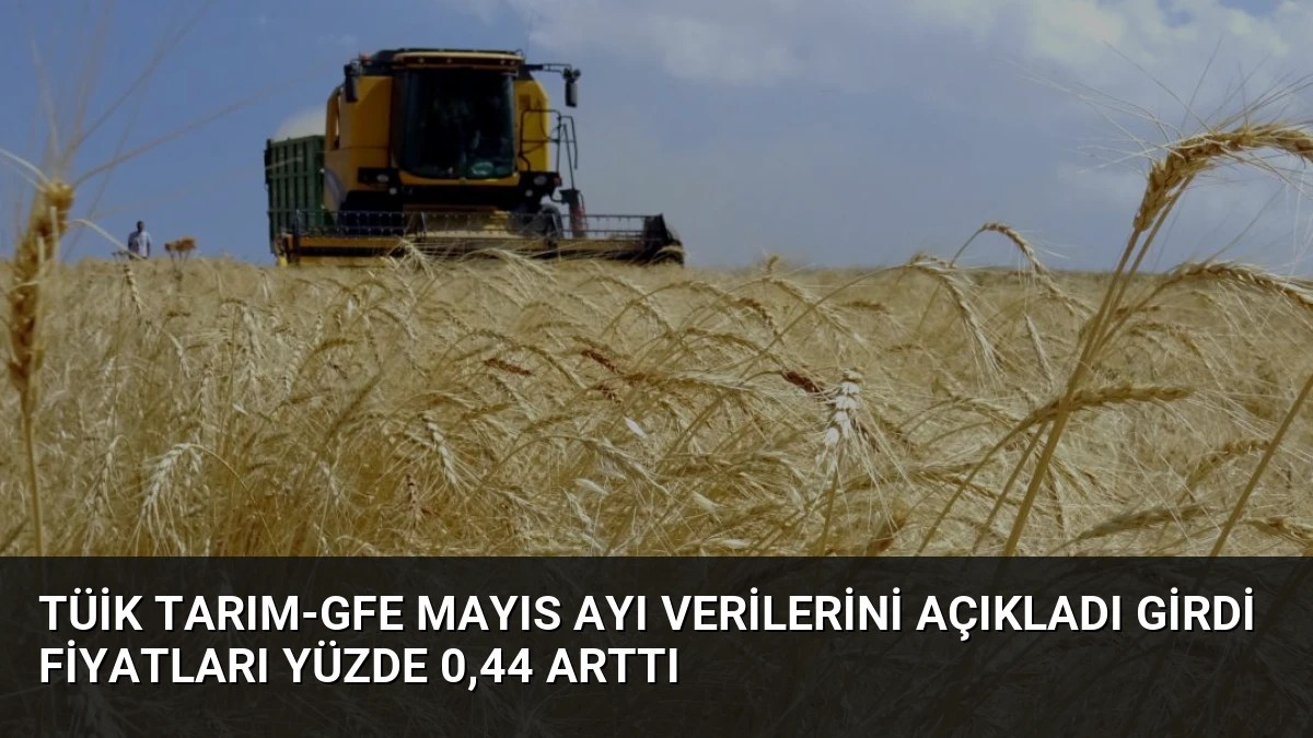 TÜİK Tarım-GFE Mayıs Ayı Verilerini Açıkladı Girdi Fiyatları Yüzde 0,44 Arttı